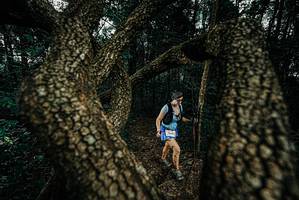 BIB: 
                            <button type="button" onclick="openModal(25692810)" class="btn btn-primary btn-sm float-right btn-popup" data-toggle="modal" data-target=".modal-high-quality">
                        <i class="fas fa-shopping-cart"></i> Add to Cart
                    </button>
                                            <button type="button" onclick="isThisMe(25692810, true)" class="btn btn-success btn-sm float-right btn-popup btn-isme hidden" data-toggle="tooltip" data-placement="bottom" title="นี่คือรูปของคุณใช่ไหม คลิกที่นี่เพื่อเอาเข้าอัลบั้ม">
                        <i class="fas fa-plus"></i> Add to album
                    </button>
                    <button type="button" onclick="isThisMe(25692810, false)" class="btn btn-warning btn-sm float-right btn-popup btn-isnotme hidden">
                        <i class="fas fa-ban"></i> Remove from album
                    </button>